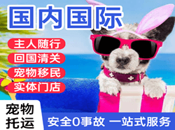 巴马机场物流国际宠物托运 【国